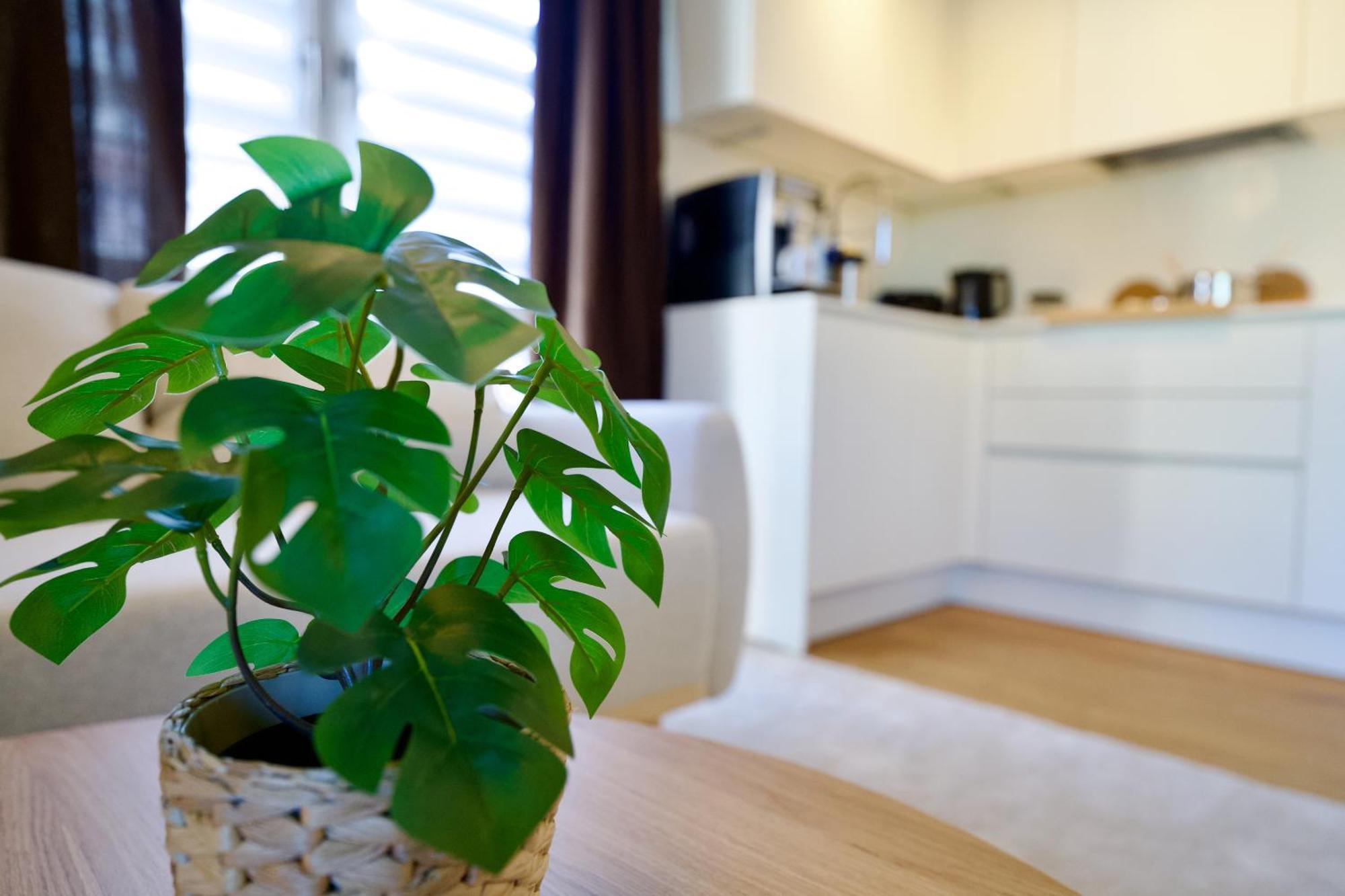 Edler Wohnraum Schwanenteich-oase Mit Balkon, Kaffeevollautomat, Lift & Parkplatz Apartment